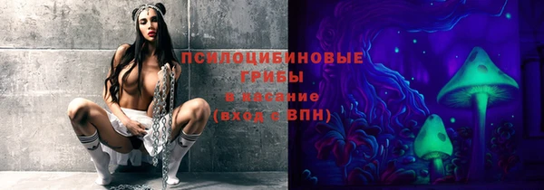 прущий лед Алексеевка