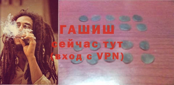 СК Алексин