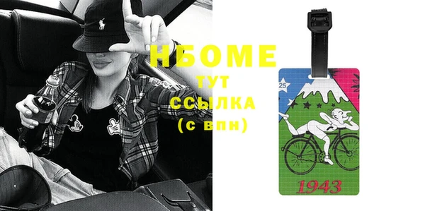 СК Алексин