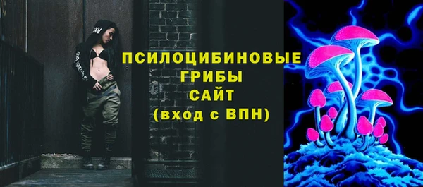 СК Алексин