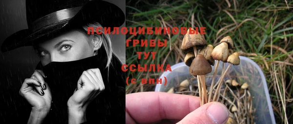 прущий лед Алексеевка