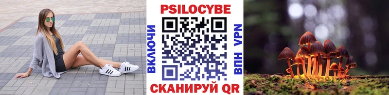 закладки  Алагир  Галлюциногенные грибы Psilocybine cubensis 